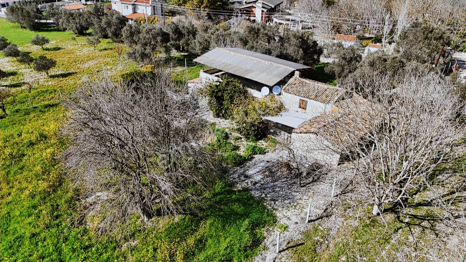 Urla Torasanda 11.259 M² Taş Evli Zeytinlik - Bağ Evi - Görsel 26