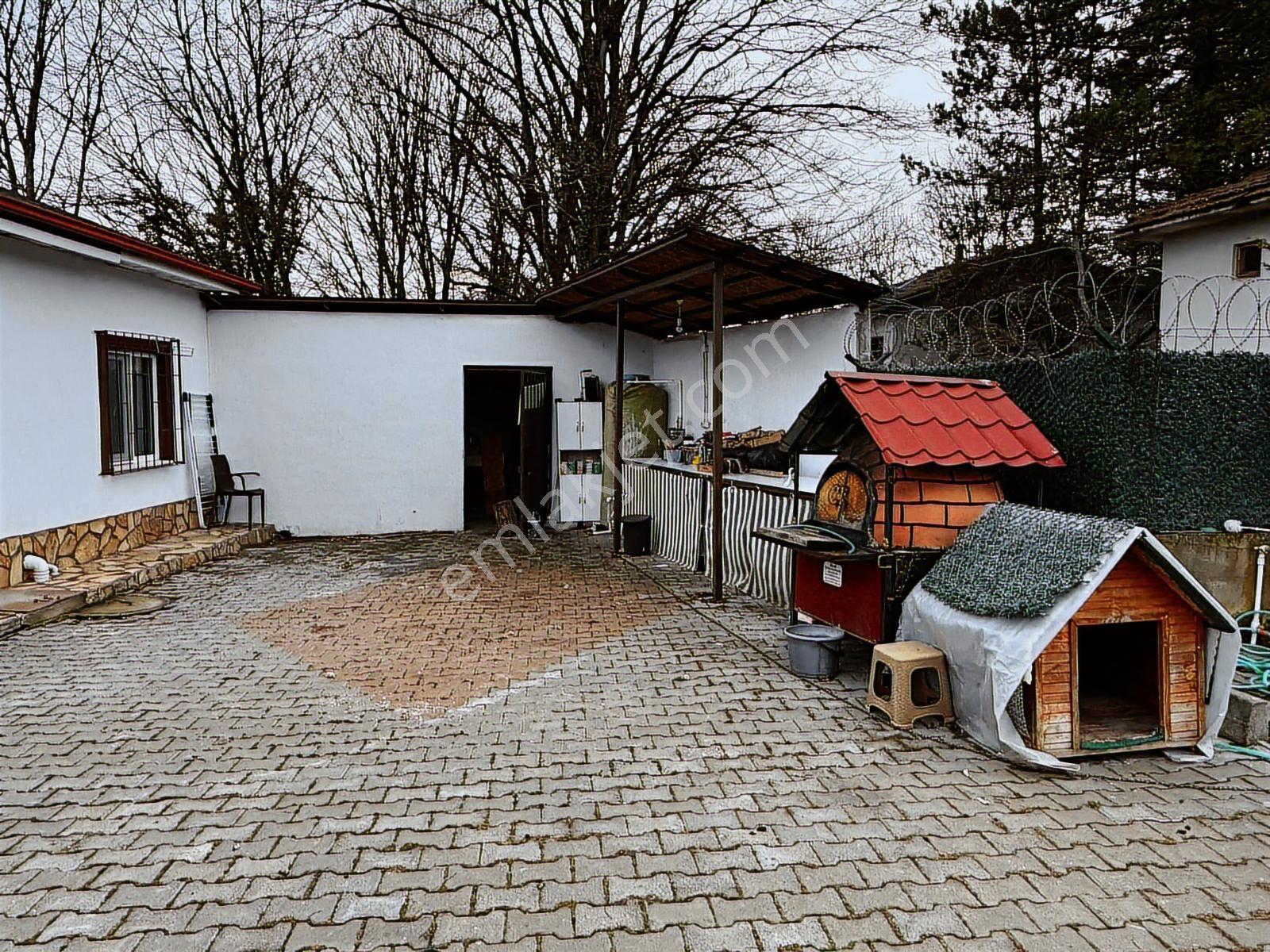 Mengen Babahızır Köyü 5000 M2 Bahçe İçinde Satılık Müstakil Ev - Görsel 16