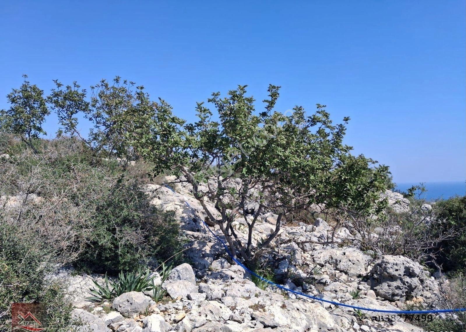 Mersin Silifke Hasanaliler’de Deniz Manzaralı 250 M² Yatırımlık Arsa - Görsel 8
