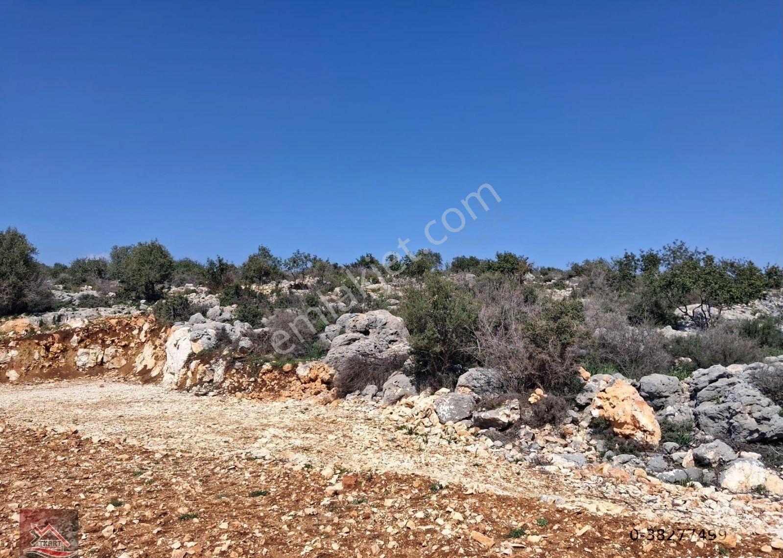 Mersin Silifke Hasanaliler’de Deniz Manzaralı 250 M² Yatırımlık Arsa - Görsel 9