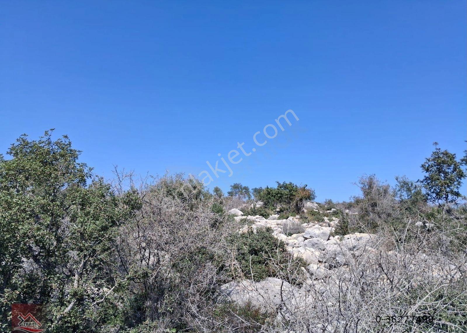 Mersin Silifke Hasanaliler’de Deniz Manzaralı 250 M² Yatırımlık Arsa - Görsel 11