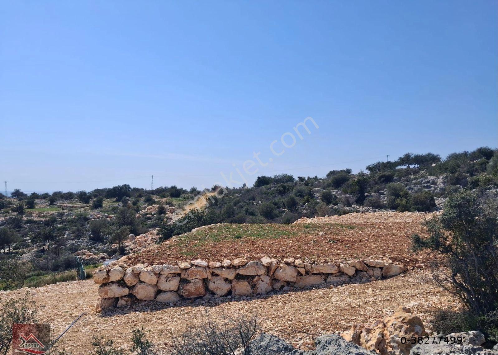 Mersin Silifke Hasanaliler’de Deniz Manzaralı 250 M² Yatırımlık Arsa - Görsel 15