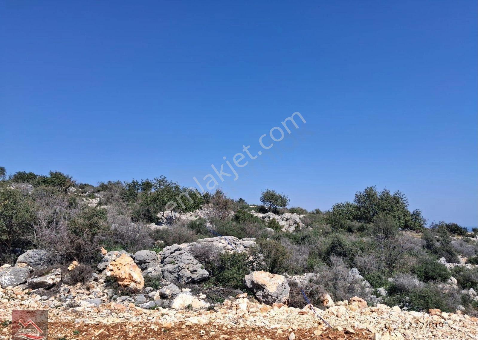 Mersin Silifke Hasanaliler’de Deniz Manzaralı 250 M² Yatırımlık Arsa - Görsel 3