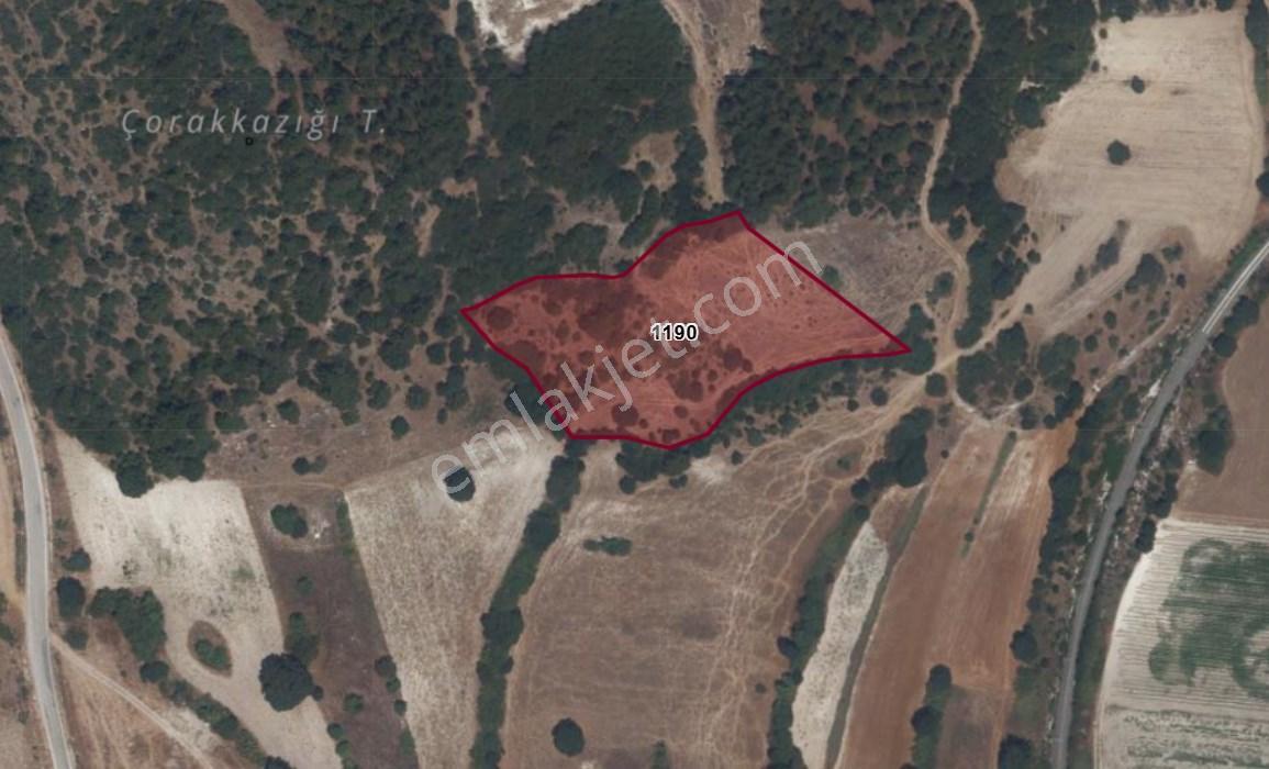 Şehir Merkezine Ve Osb Ye Yakın, Ormana Cephe 6 Dönüm Tarla - Görsel 13