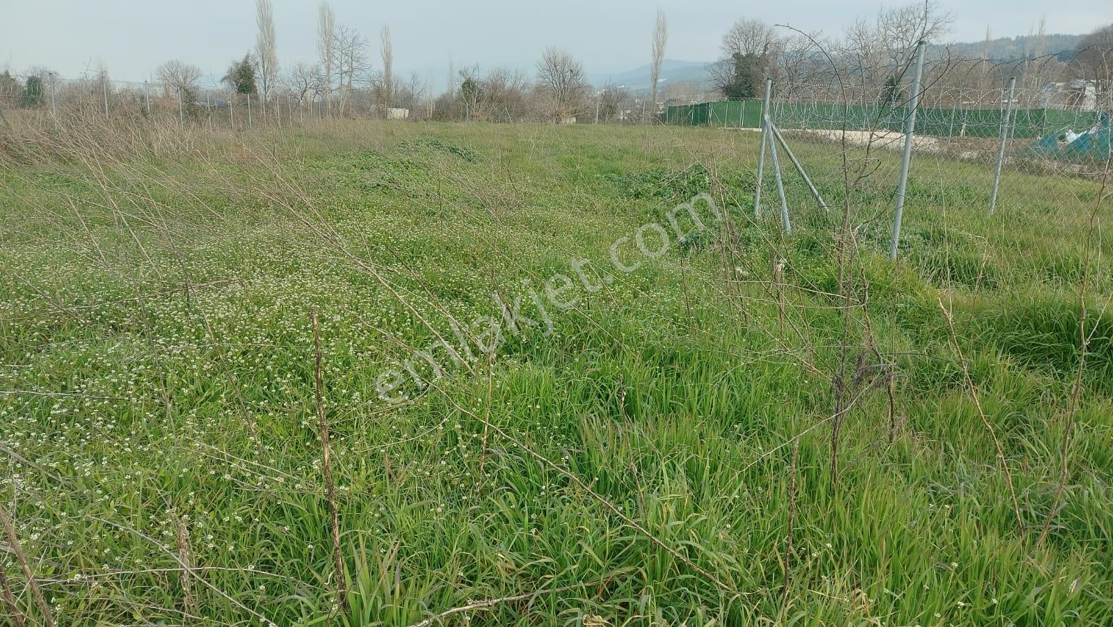 Bursa Nilüfer Kayapa Da Ana Yola Yakın 835 M2 Hobi Bahçesi - Görsel 7