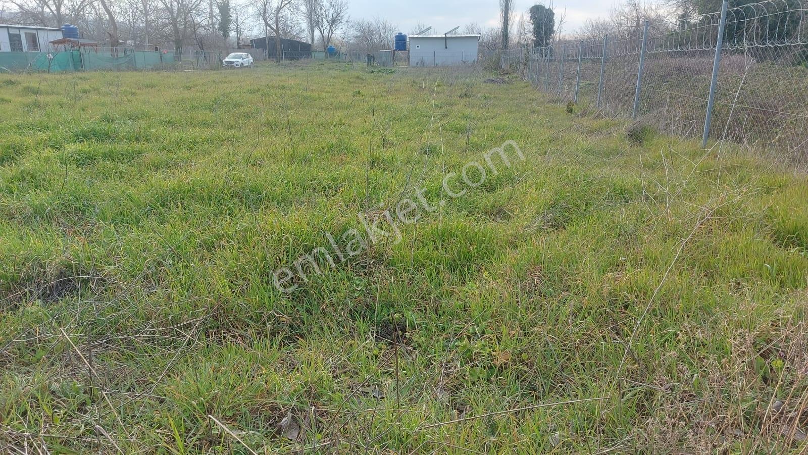 Bursa Nilüfer Kayapa Da Ana Yola Yakın 835 M2 Hobi Bahçesi - Görsel 4