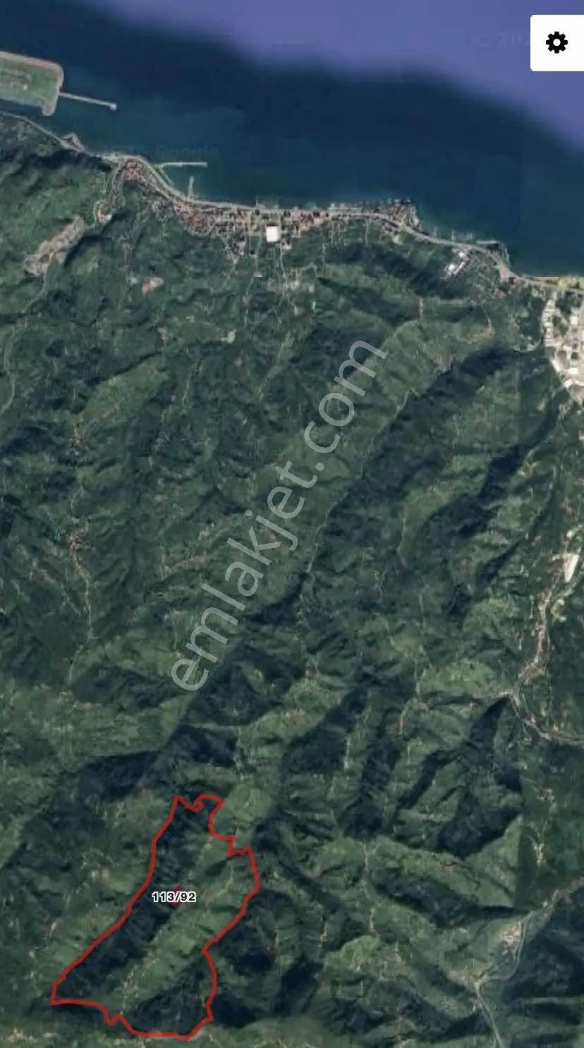 Aydın Emlak Piraziz Hasanşeyh Köyünde 3762m² Fındık Bahçesi