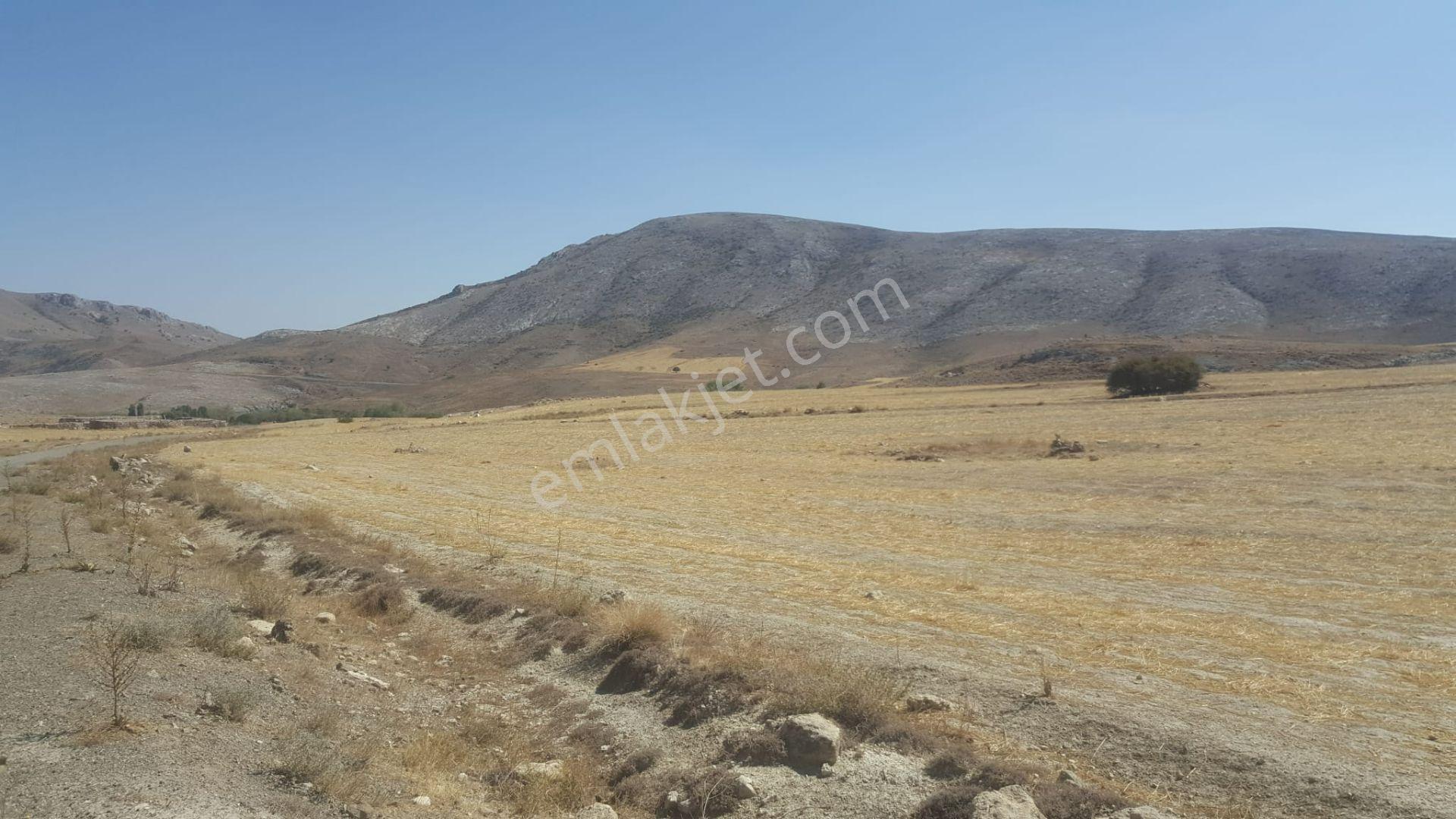 Sahibinden Tatköy De Bu Yer Kaçmaz 9792 Metre Yer - Görsel 2