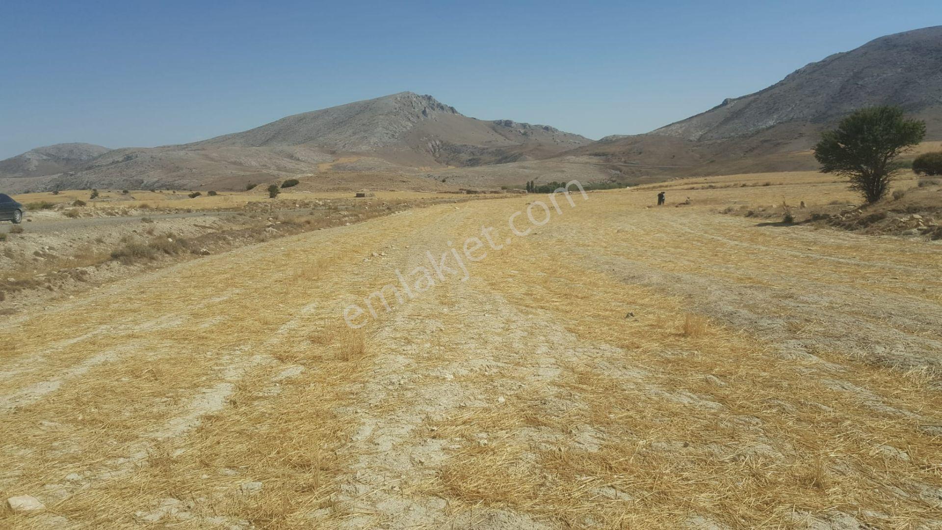 Sahibinden Tatköy De Bu Yer Kaçmaz 9792 Metre Yer