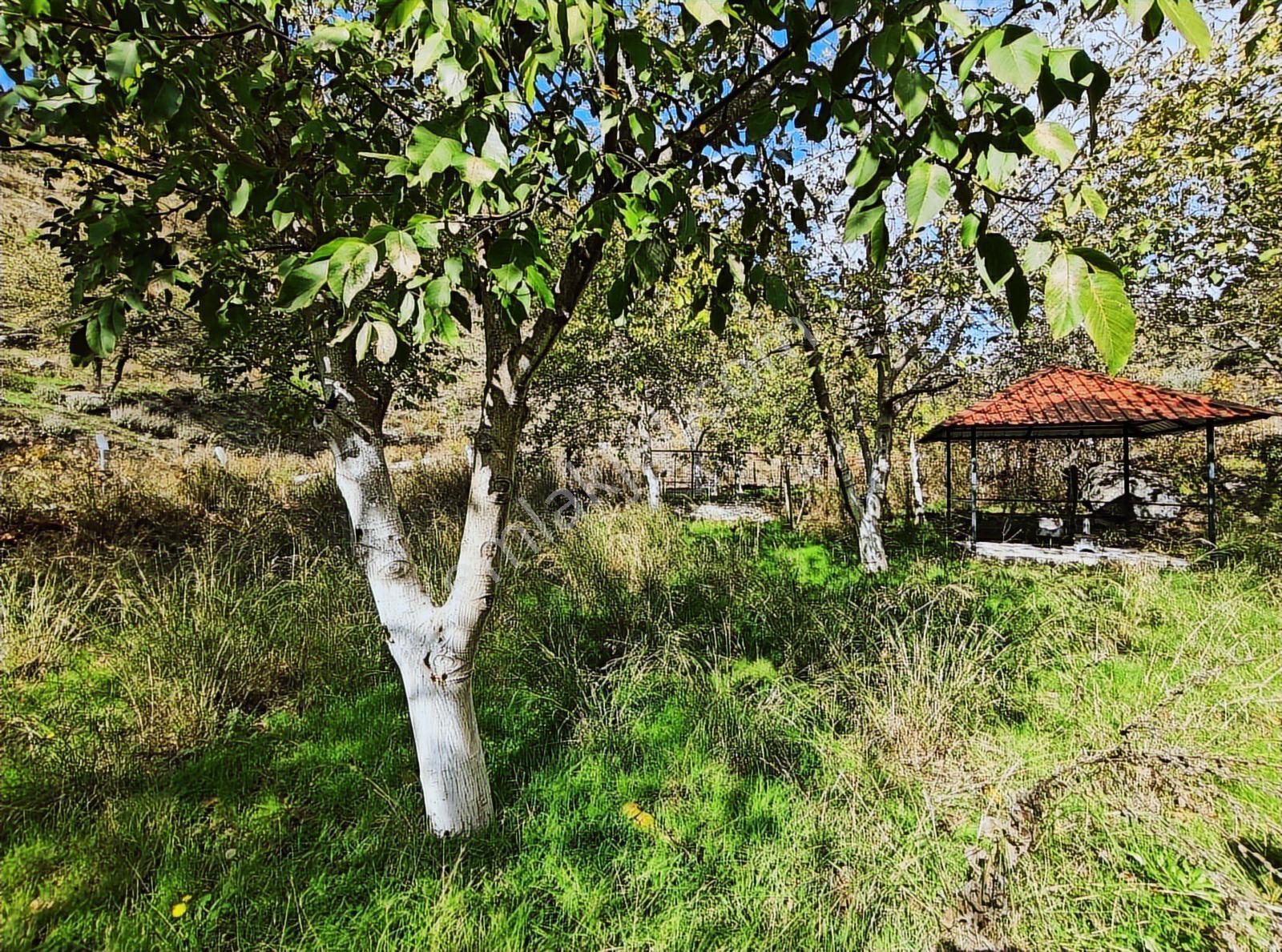 Karabağlar Kavacık İçinde 3+1 Evi Olan Satılık Bahçe - Görsel 15