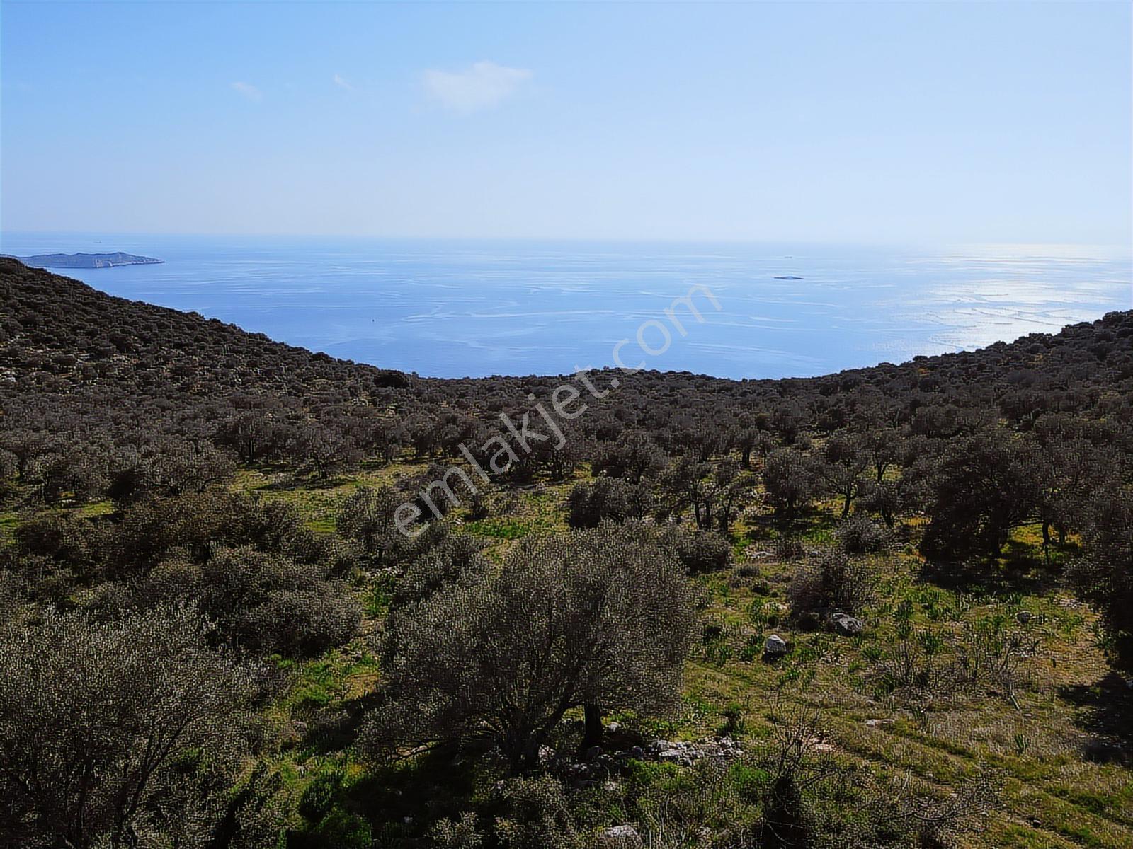 Kaş Sarıbelen Deniz Manzaralı Arazi