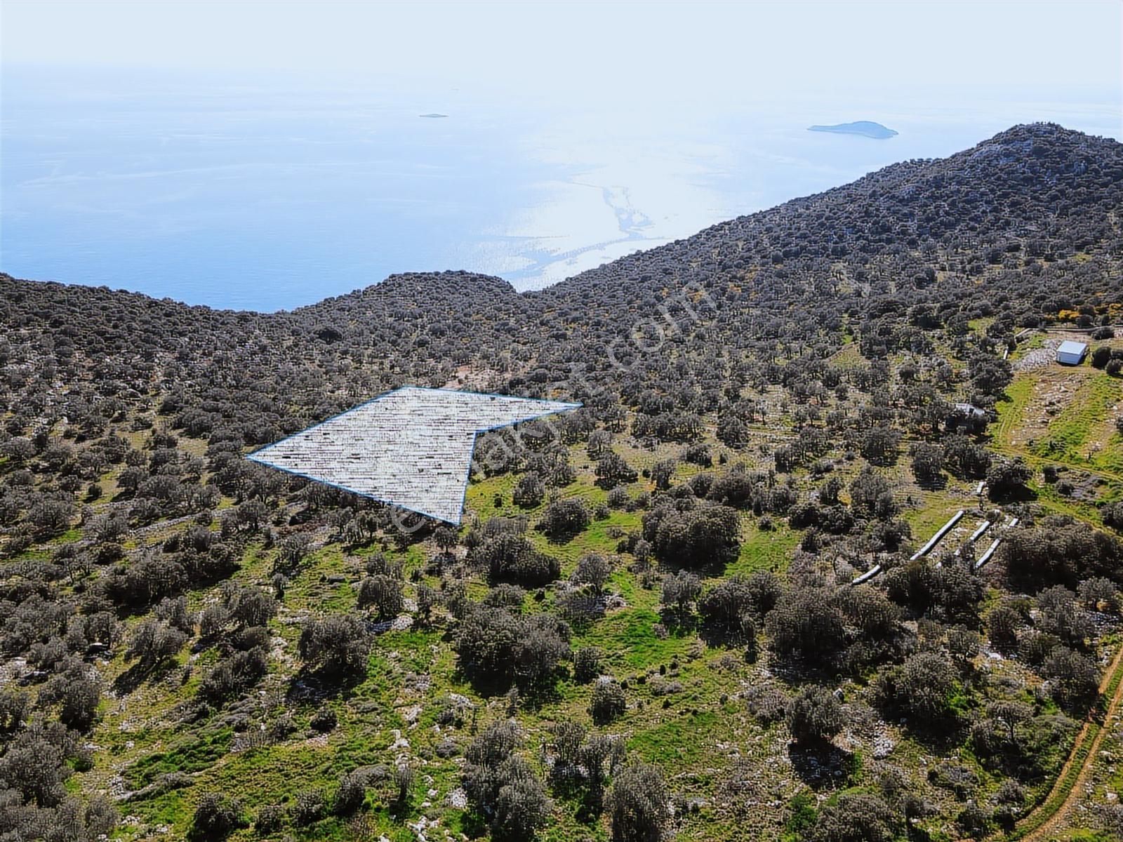 Kaş Sarıbelen Deniz Manzaralı Arazi - Görsel 12