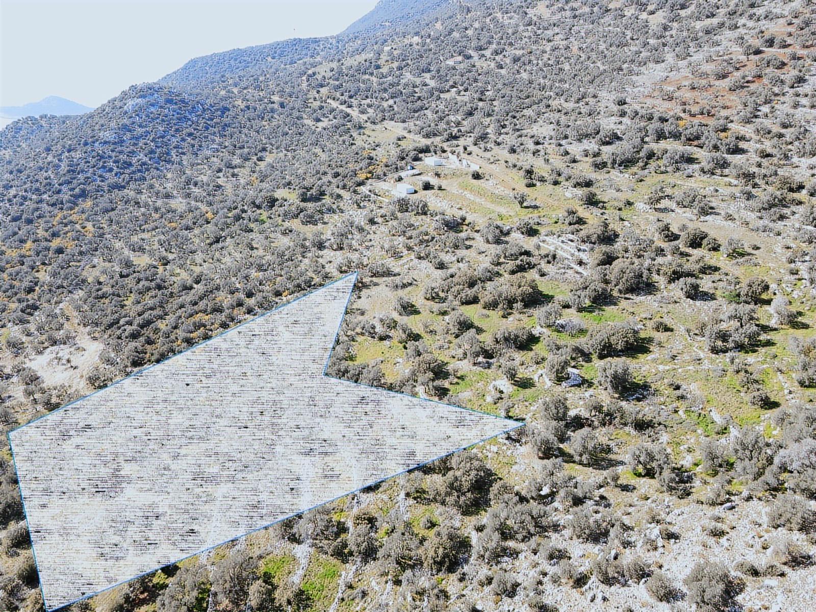 Kaş Sarıbelen Deniz Manzaralı Arazi - Görsel 9