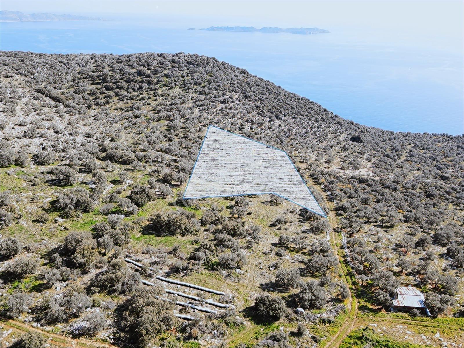 Kaş Sarıbelen Deniz Manzaralı Arazi - Görsel 11