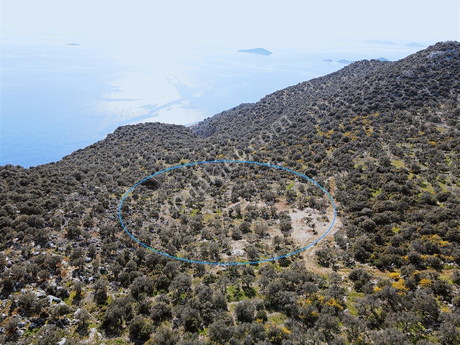 Kaş Sarıbelen Deniz Manzaralı Arazi - Görsel 3