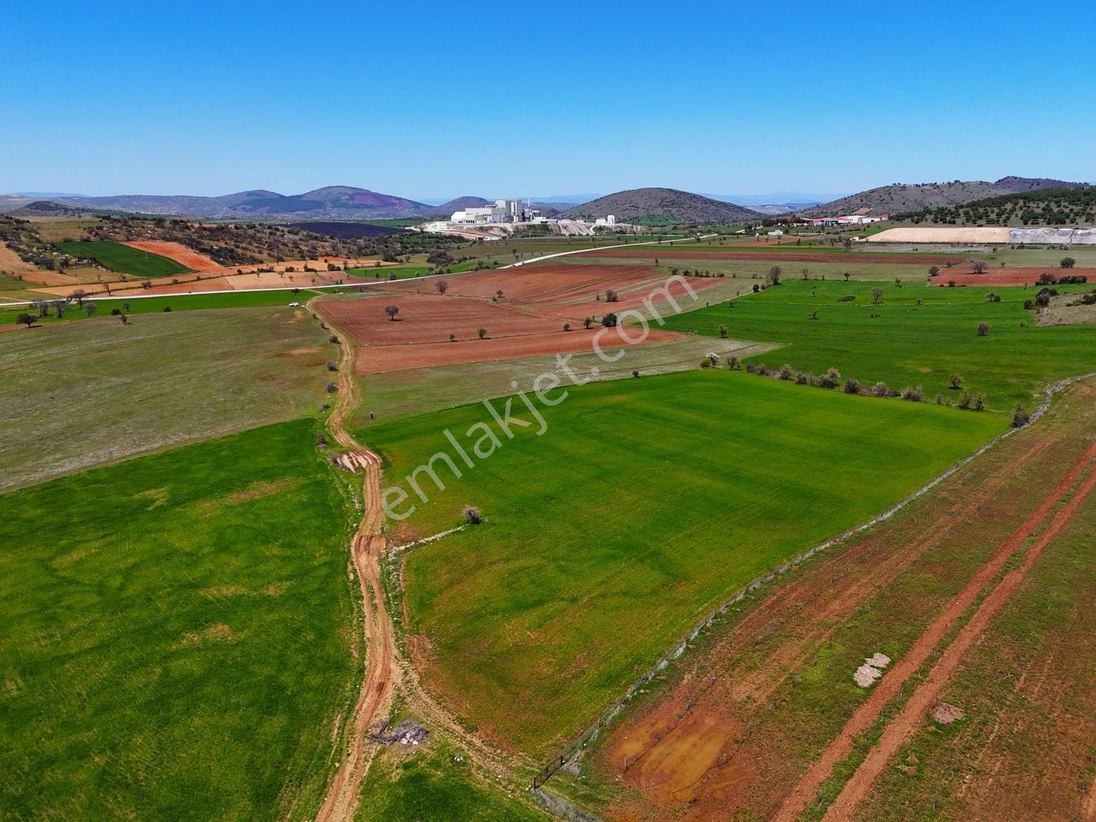 Kula'da Satılık Ana Yola Yakın 2769 M2 Hobi Bahçesi-tarla - Görsel 9