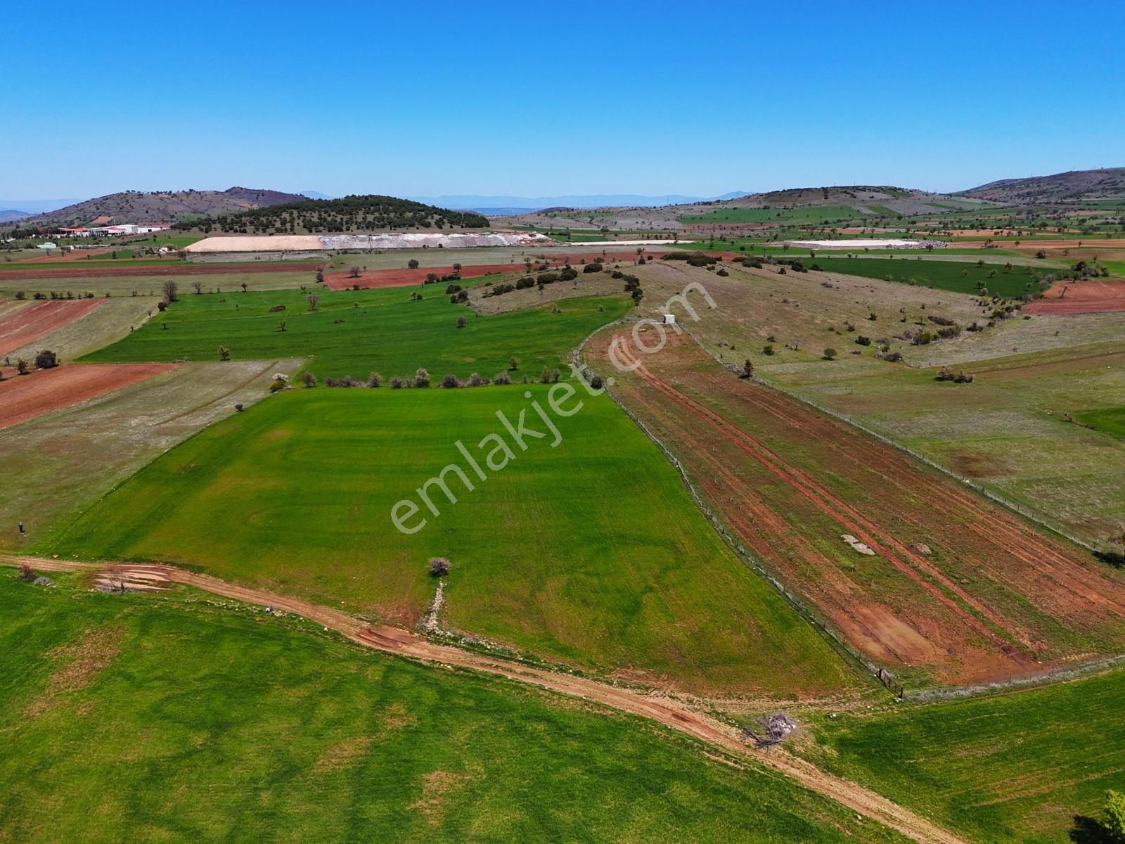 Kula'da Satılık Ana Yola Yakın 2769 M2 Hobi Bahçesi-tarla - Görsel 14