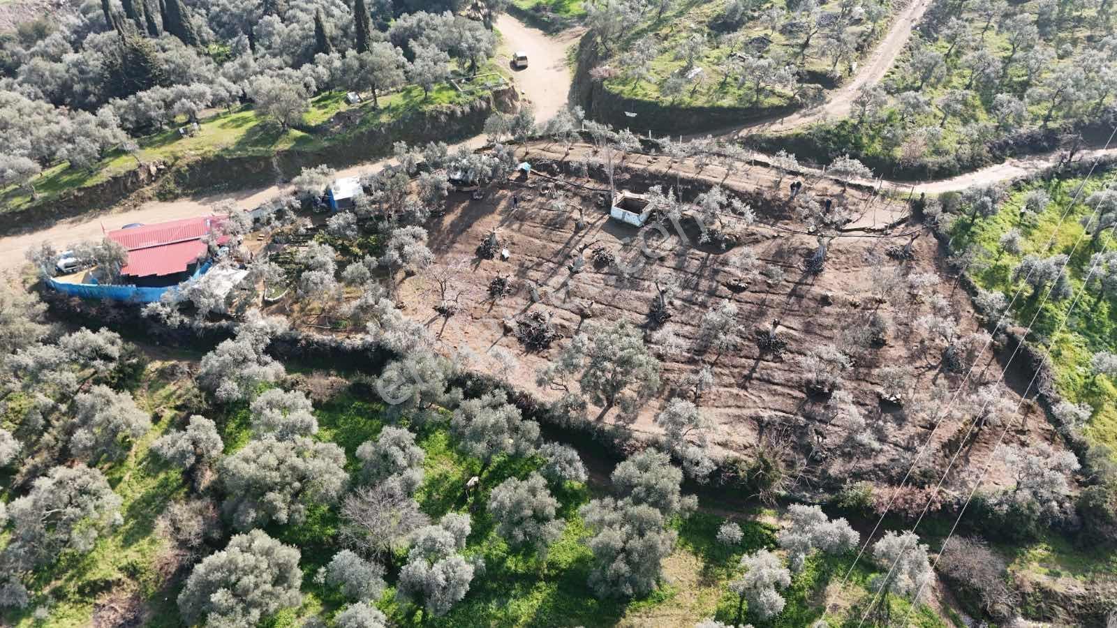 İzmir Tire Akar Emlaktan Satılık Doğa Harikası Müstakil Ev - Görsel 31