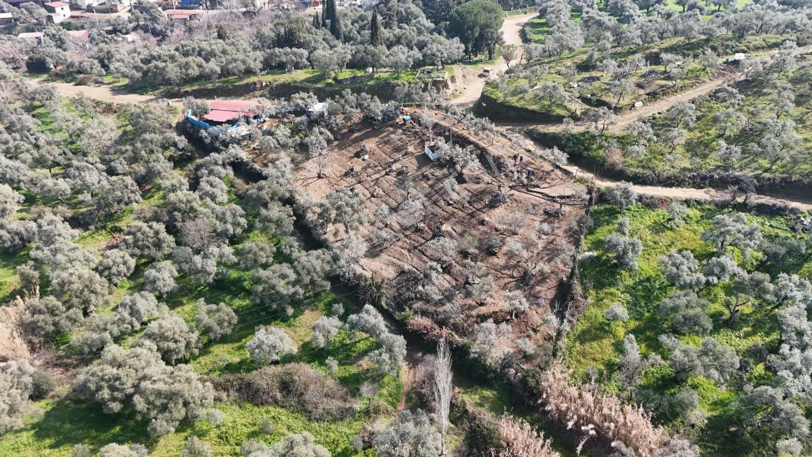 İzmir Tire Akar Emlaktan Satılık Doğa Harikası Müstakil Ev - Görsel 11