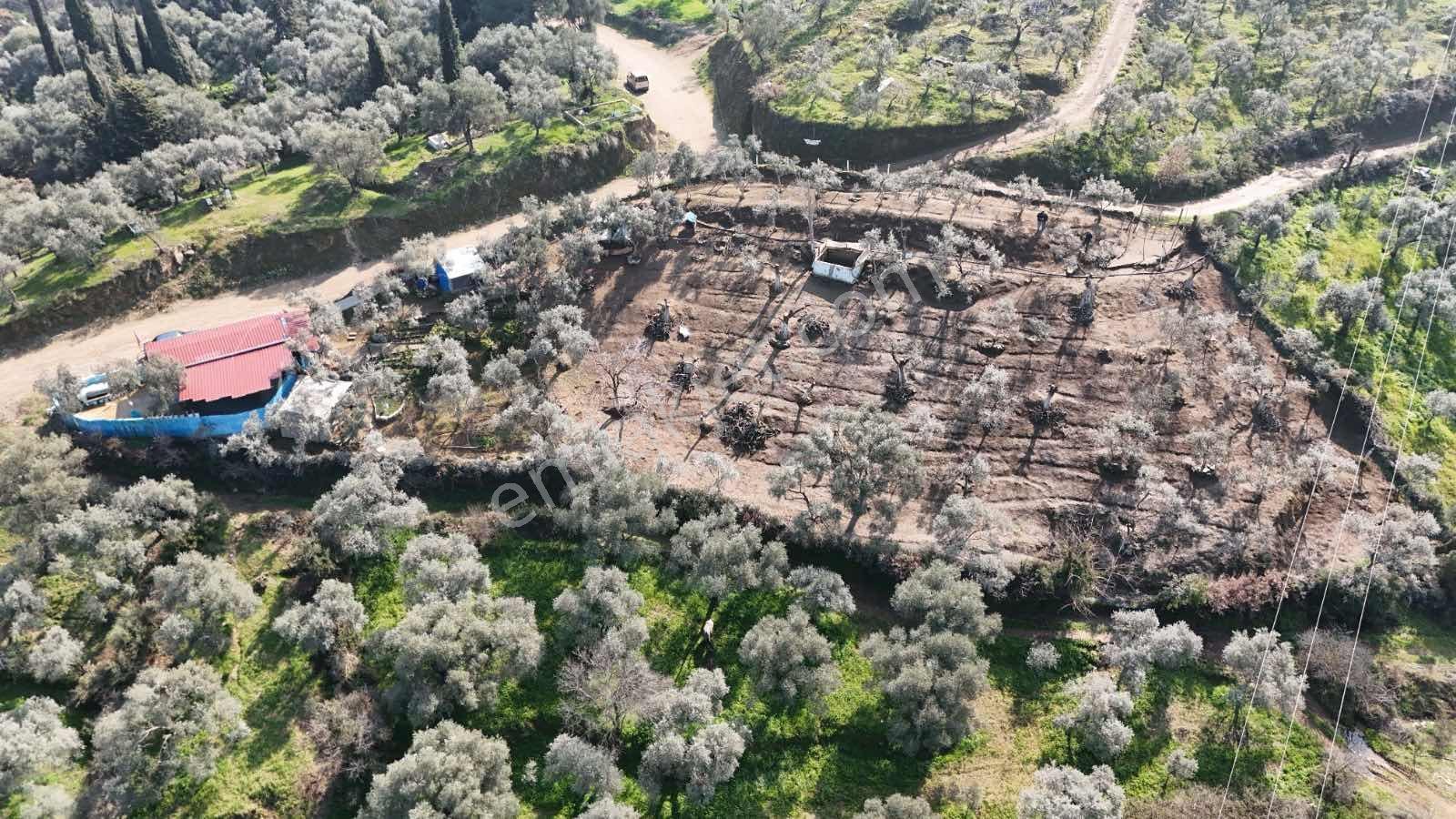 İzmir Tire Akar Emlaktan Satılık Doğa Harikası Müstakil Ev - Görsel 12