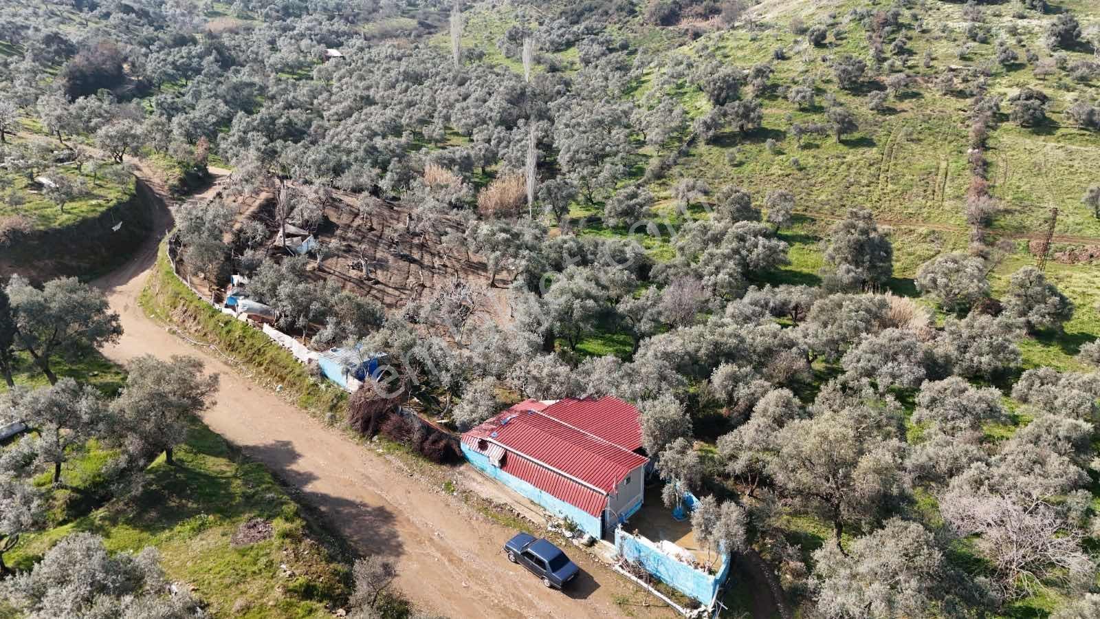 İzmir Tire Akar Emlaktan Satılık Doğa Harikası Müstakil Ev - Görsel 20