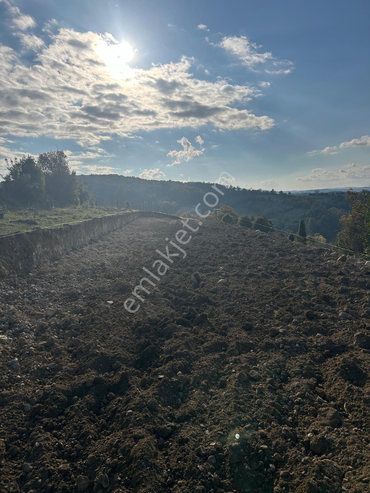Şile Çelebi Köyü Satılık Arsa 586 M² Müstakil Parsel - Görsel 3