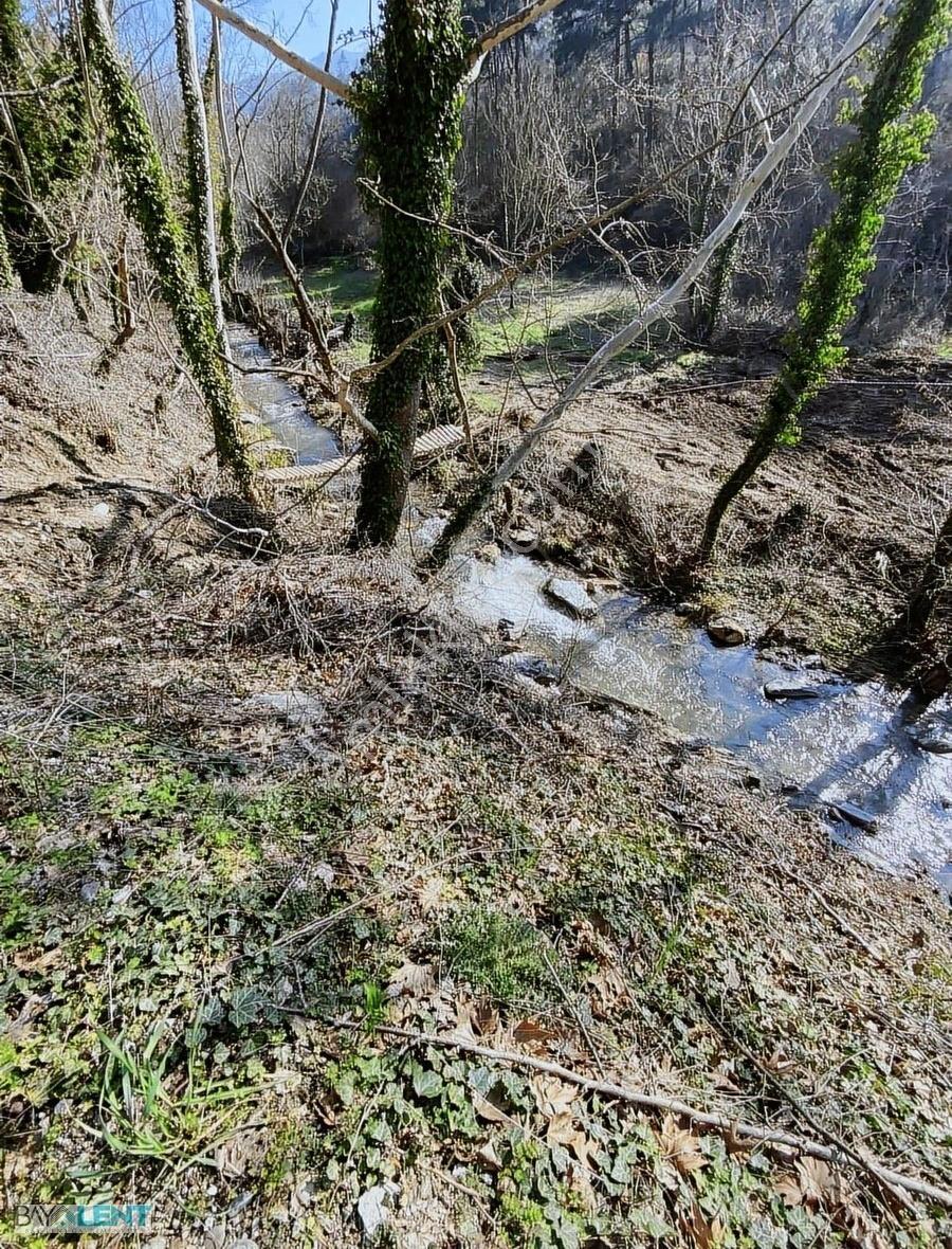 Kepsut Derelı'de Hobı Bahçelık Tarla - Görsel 4