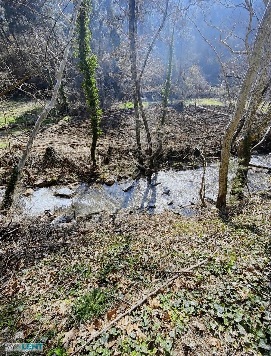 Kepsut Derelı'de Hobı Bahçelık Tarla - Görsel 13
