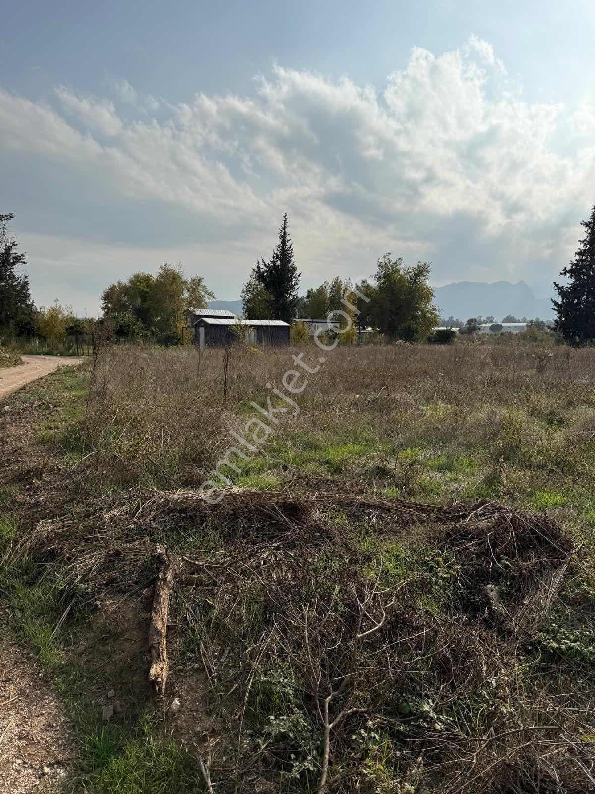 Yerimiz Konyaaltı Aşağıkaramanda 1.630 M2 Kiralık - Görsel 6
