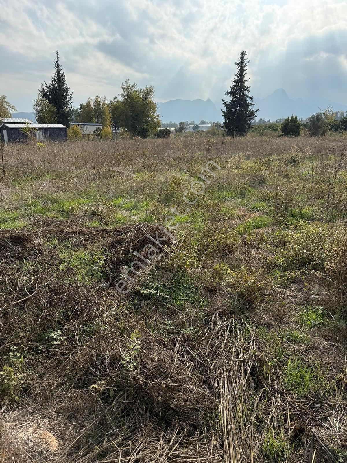 Yerimiz Konyaaltı Aşağıkaramanda 1.630 M2 Kiralık - Görsel 5