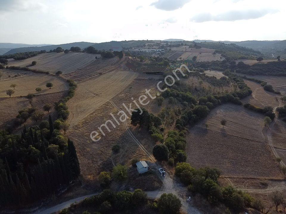 Acilsatılık Balıkesir Altıeylül Karakavak'ta Satılık Villa İmarlı Müstakil Arsa - Görsel 2