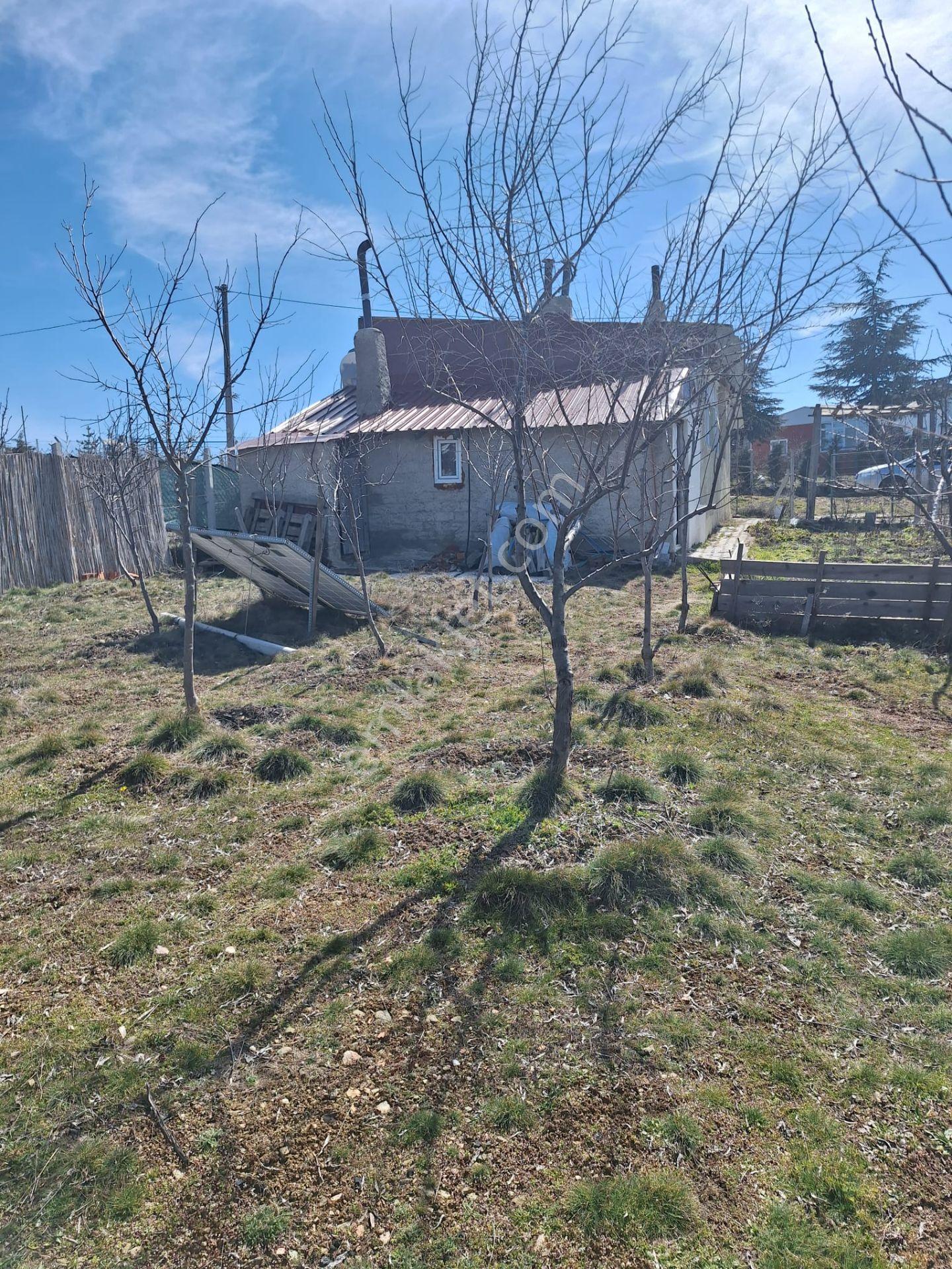 Sulukkaraağaç Da 538m2 Arsa İçerisinde Köy Evi