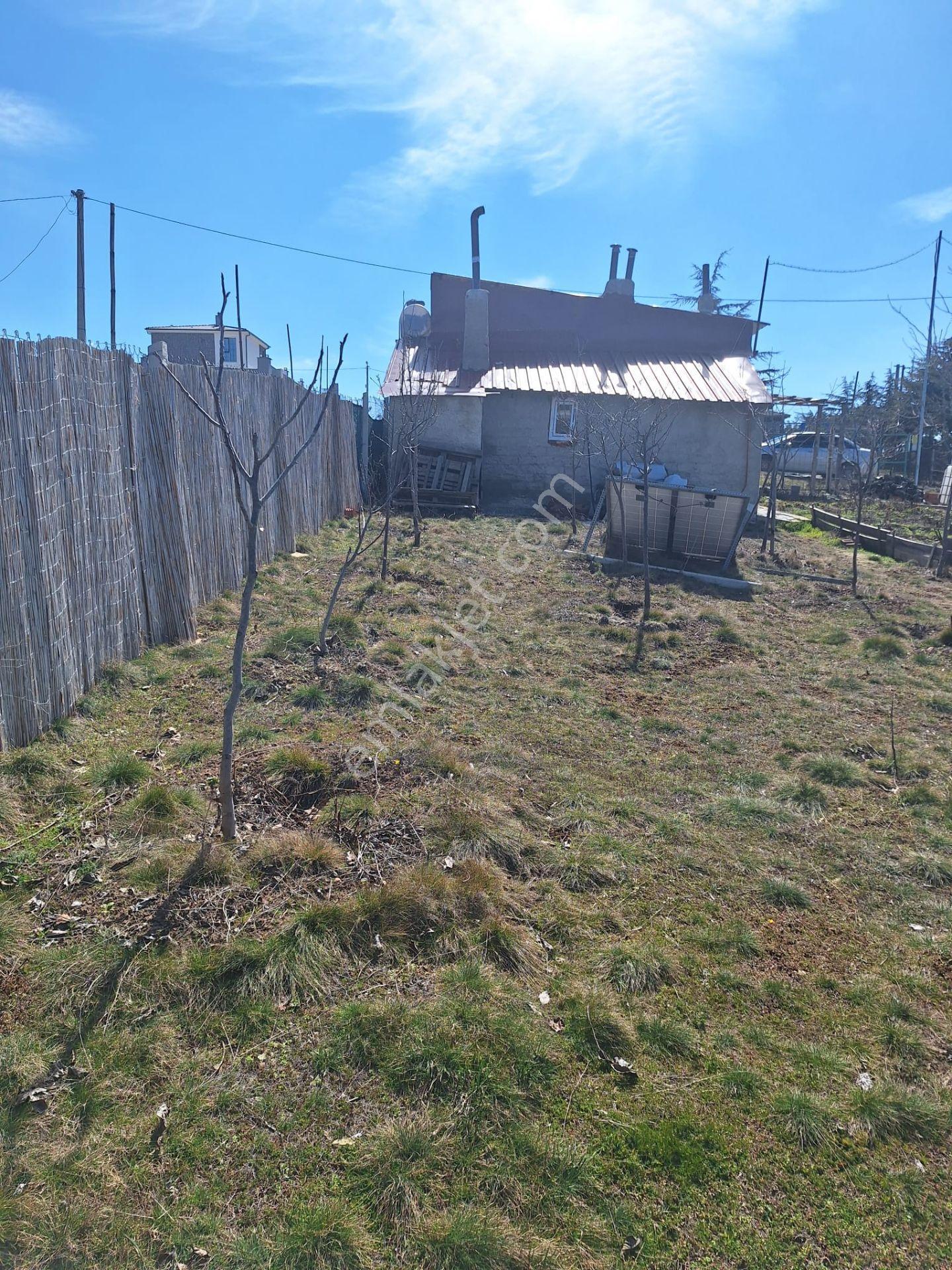 Sulukkaraağaç Da 538m2 Arsa İçerisinde Köy Evi - Görsel 2
