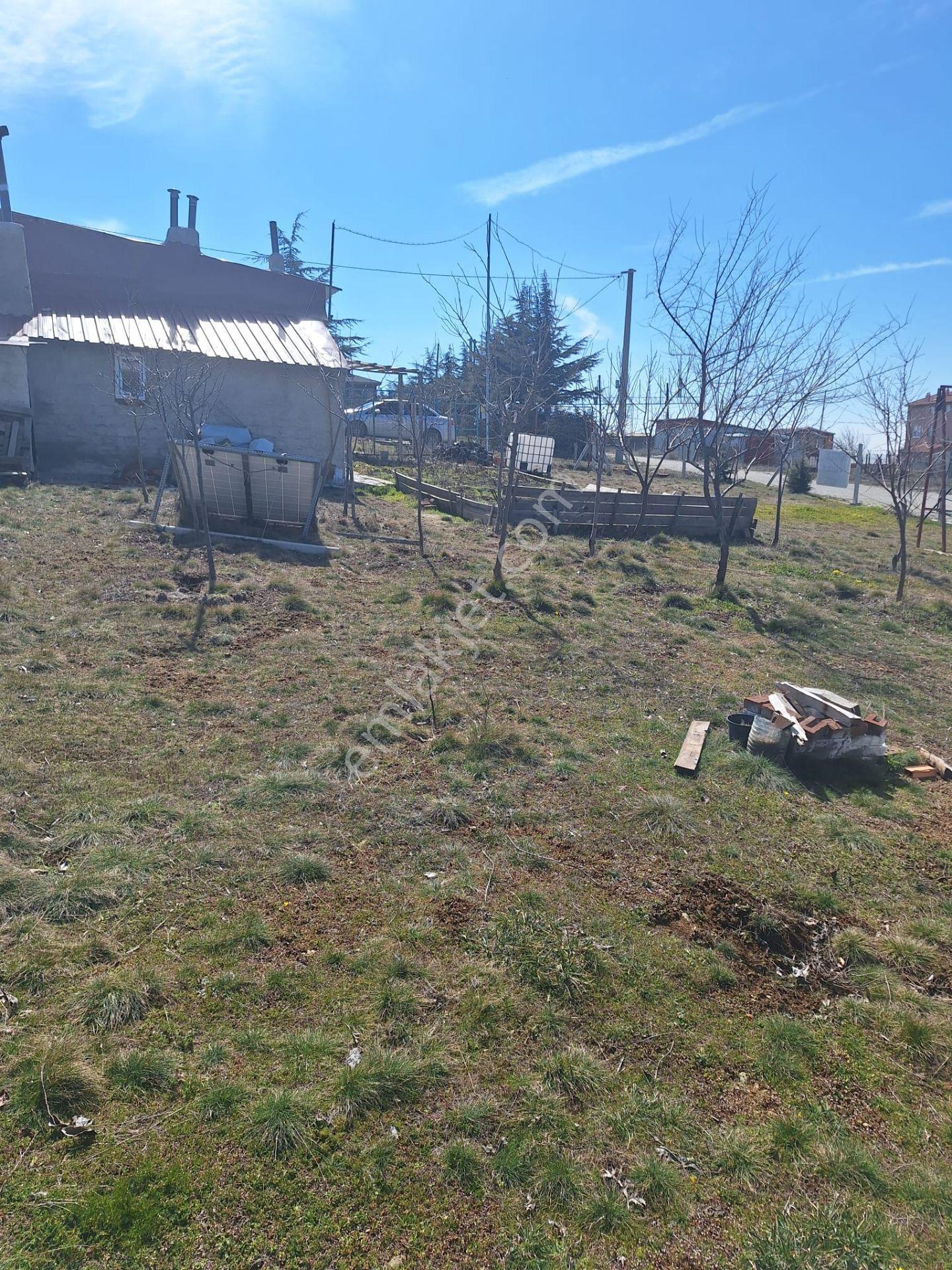Sulukkaraağaç Da 538m2 Arsa İçerisinde Köy Evi - Görsel 6