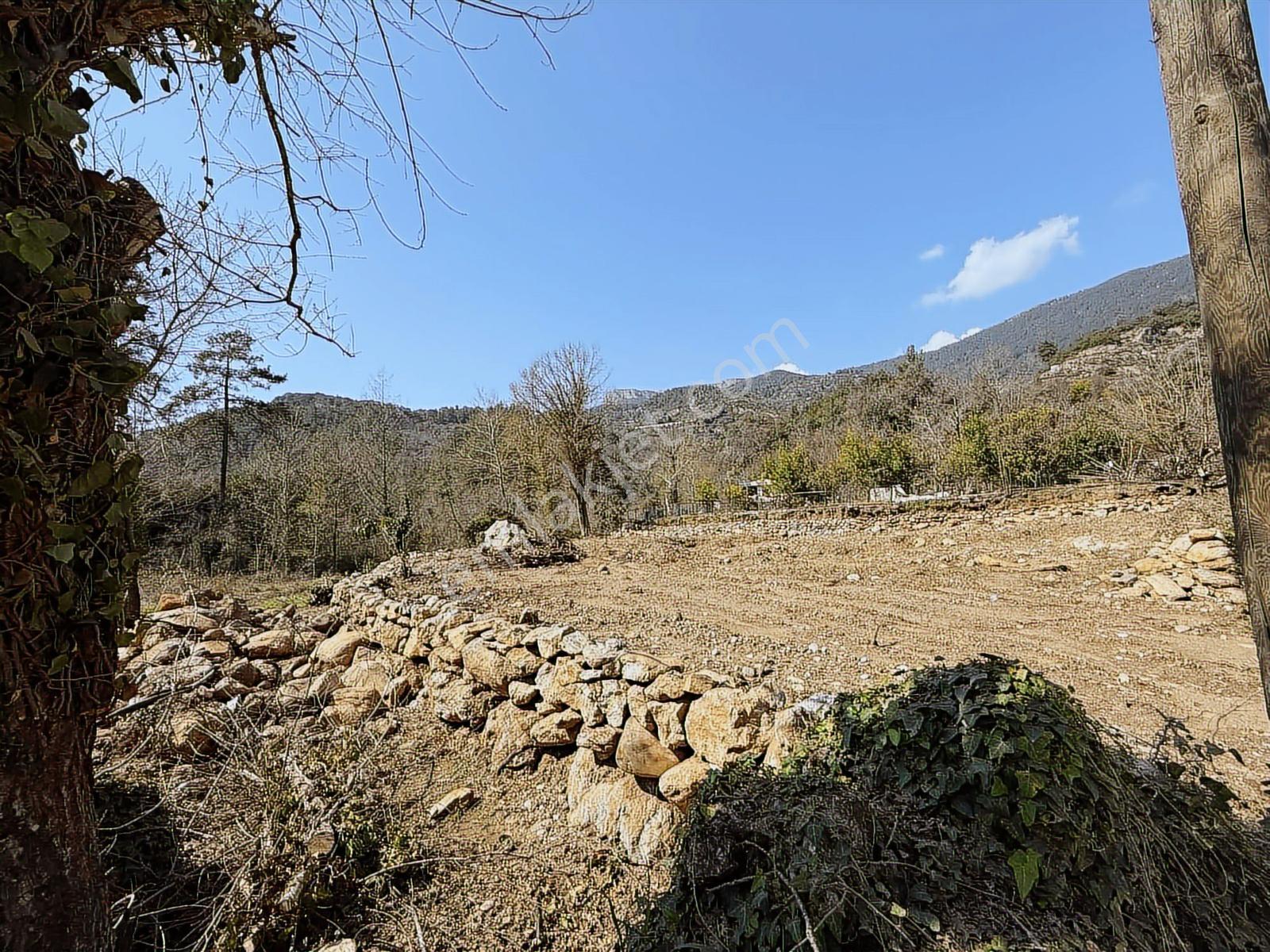 Alanya Gümüşgöze'de Çaya 50mt Satılık 792m2 Masrafsız Tarla - Görsel 18