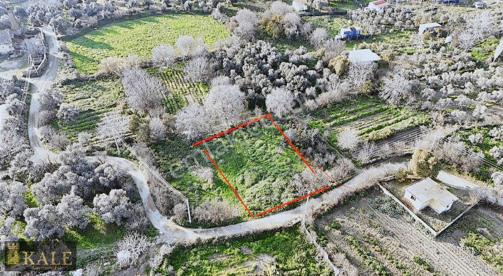 Kale'den Zeytinova Köy Merkezi'nde Kupon Bahçe - Görsel 5