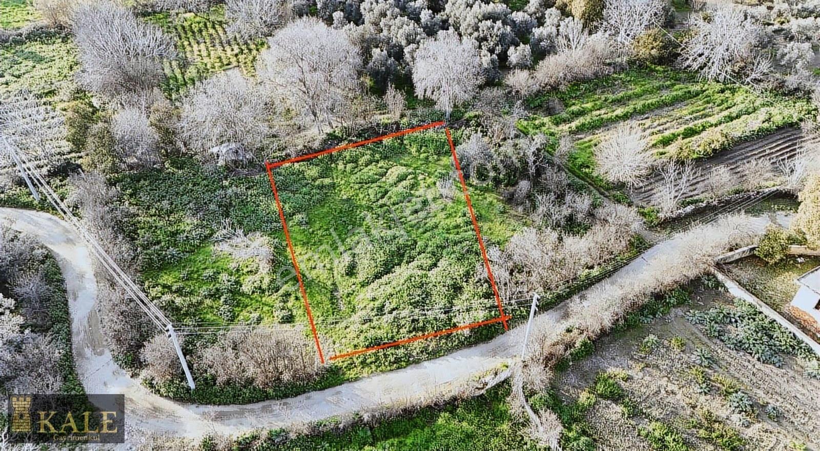 Kale'den Zeytinova Köy Merkezi'nde Kupon Bahçe - Görsel 3
