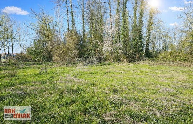 Hak Emlak'tan Darıcı Mah.de Yatırımlık 1.265 M² İmarlı Arsa! - Görsel 35