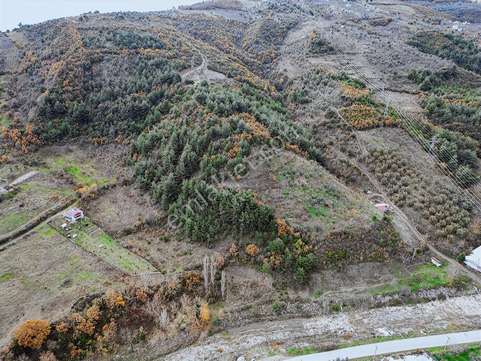 Remax Hür'den Geyve Alifuatpaşa'da 6.423 M2 Satılık Bağ - Görsel 12