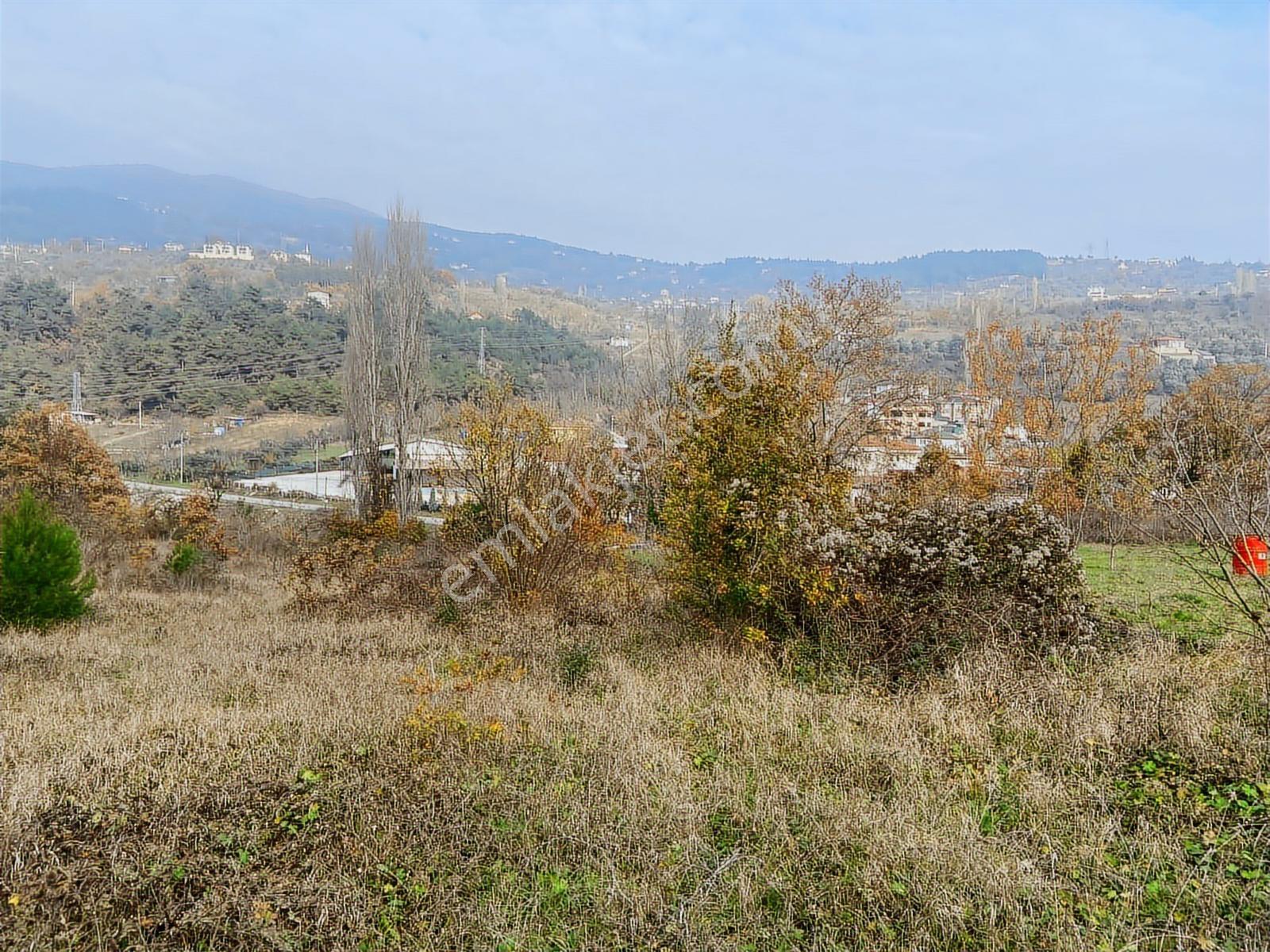 Remax Hür'den Geyve Alifuatpaşa'da 6.423 M2 Satılık Bağ - Görsel 14