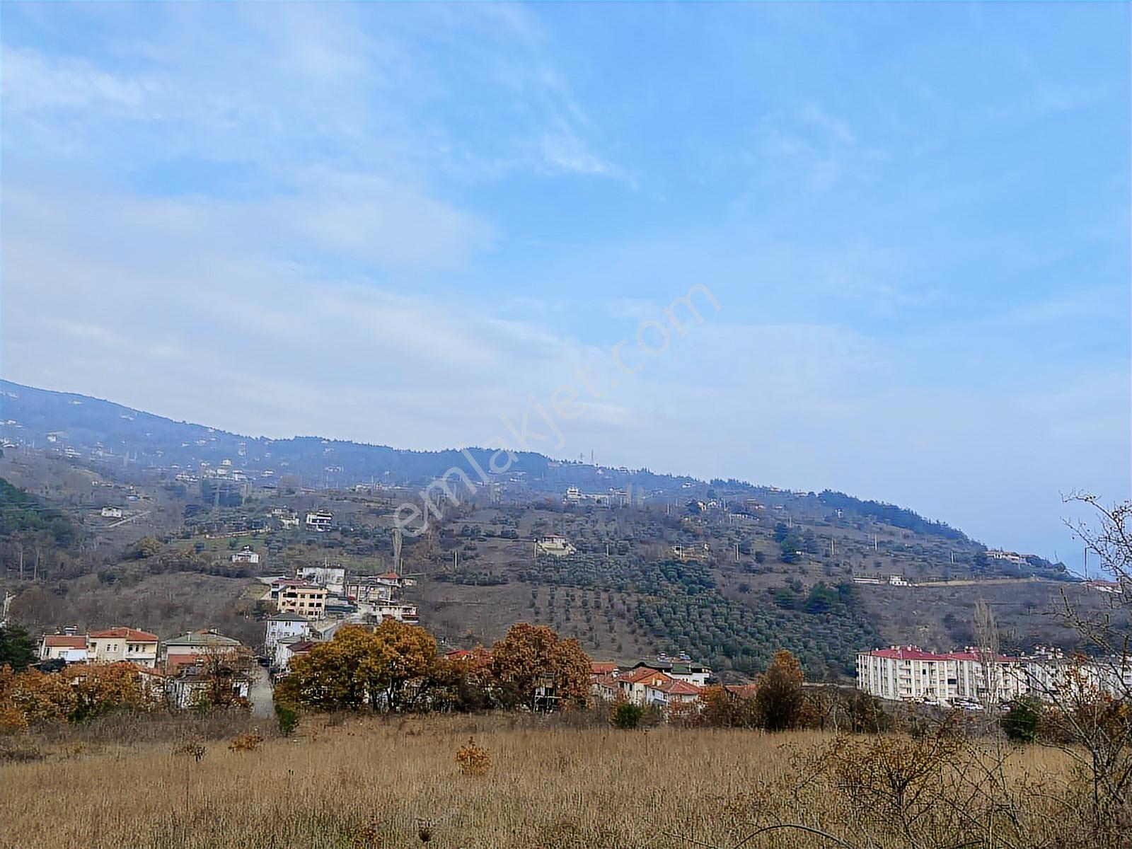 Remax Hür'den Geyve Alifuatpaşa'da 6.423 M2 Satılık Bağ - Görsel 10