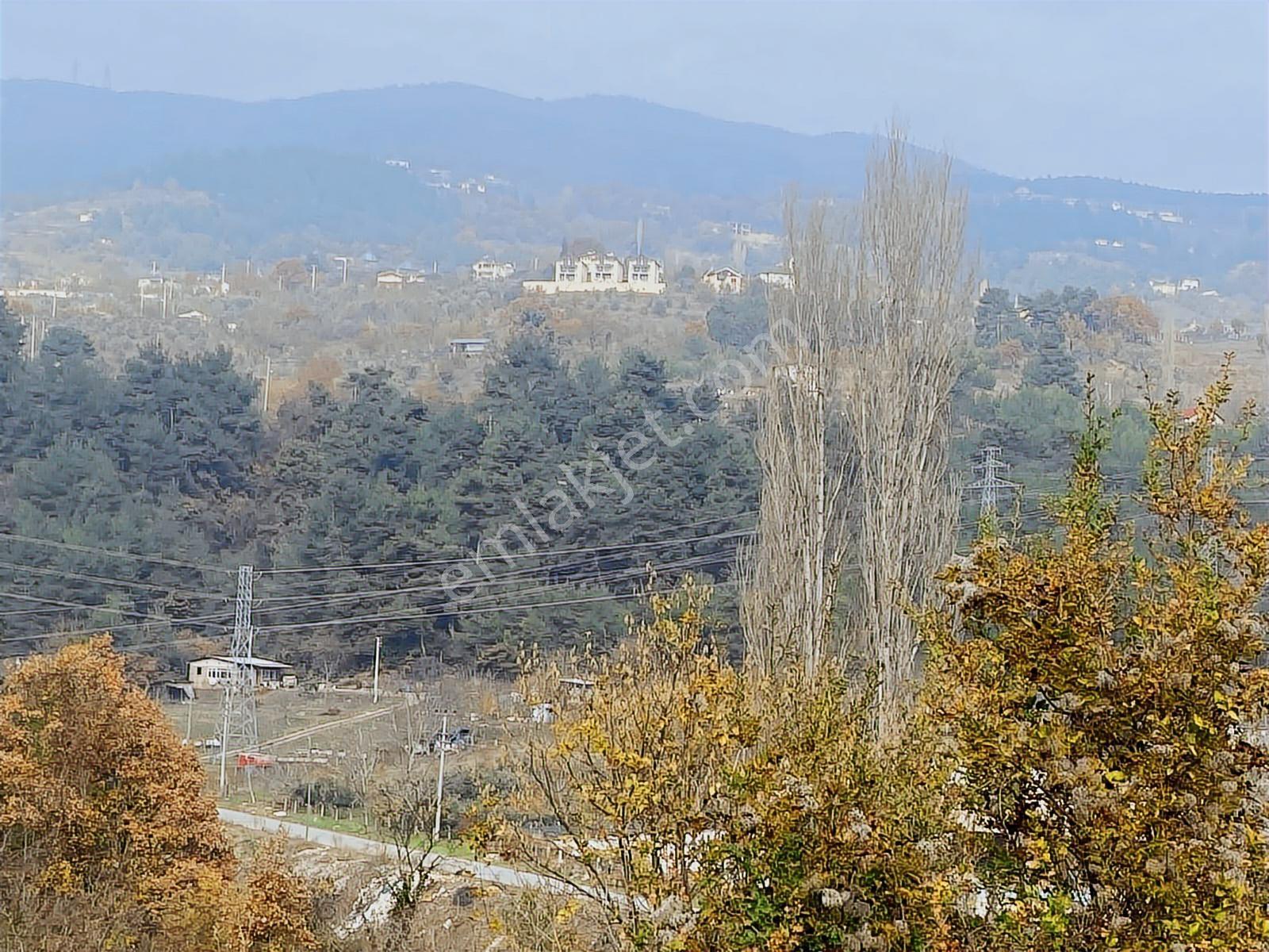 Remax Hür'den Geyve Alifuatpaşa'da 6.423 M2 Satılık Bağ - Görsel 3