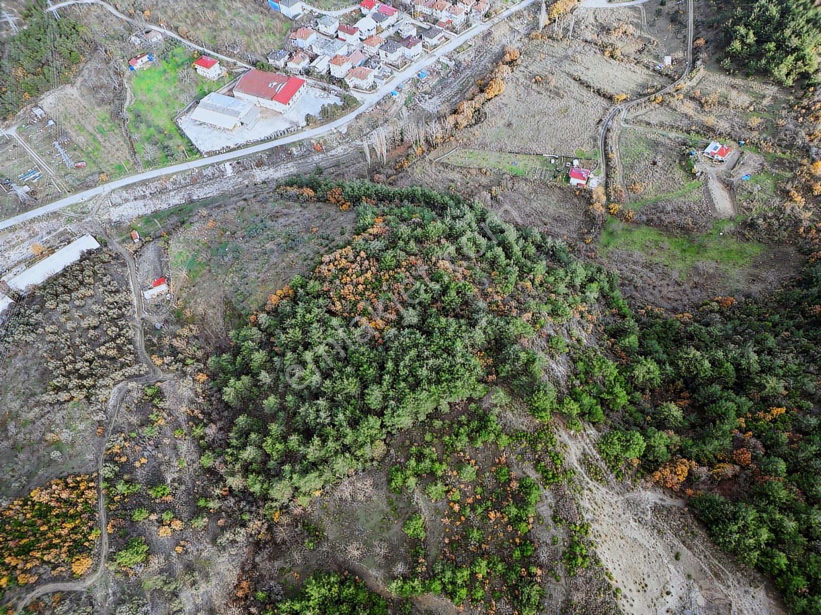 Remax Hür'den Geyve Alifuatpaşa'da 6.423 M2 Satılık Bağ - Görsel 7