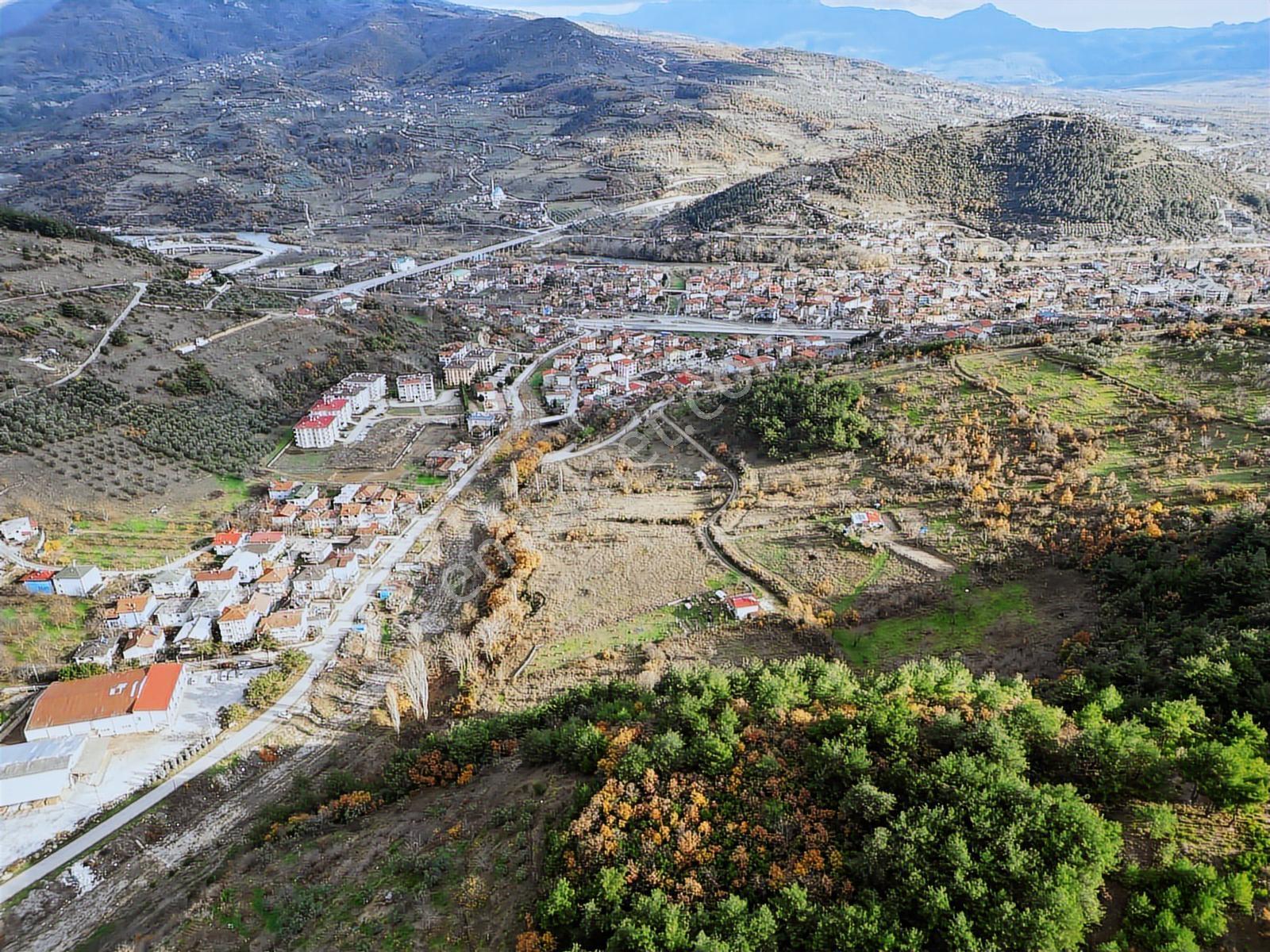 Remax Hür'den Geyve Alifuatpaşa'da 6.423 M2 Satılık Bağ - Görsel 13