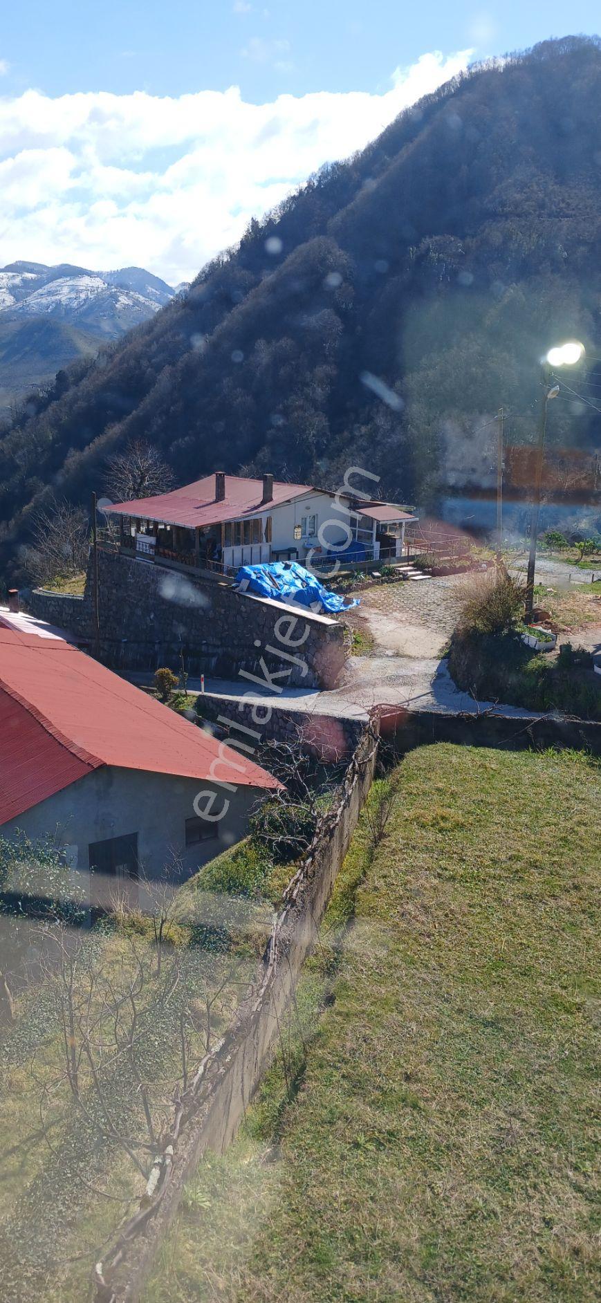 Eyüplü Mahallesi'nde 3 Katlı Ev İle Satılık Fındık Bahçesi - Görsel 34