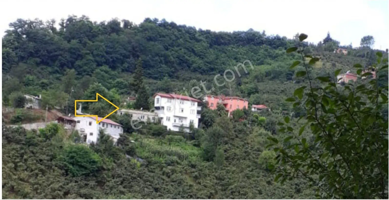 Eyüplü Mahallesi'nde 3 Katlı Ev İle Satılık Fındık Bahçesi