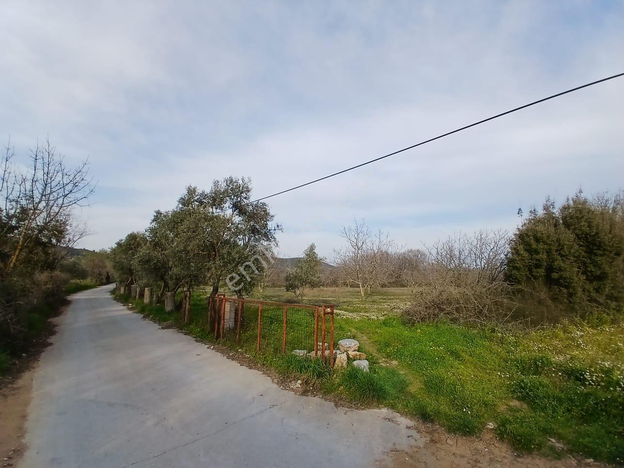 Muğla Menteşe Yerkesik’te Satılık Arsa