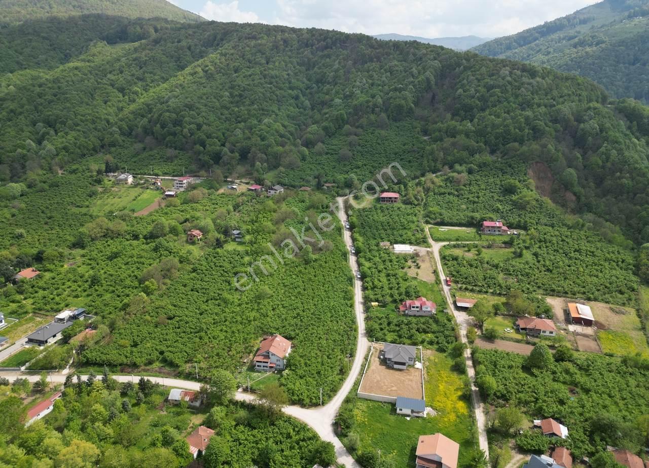 Düzce Merkez Güven Köyü'nde 1448 M² Satılık Arsa - Görsel 21