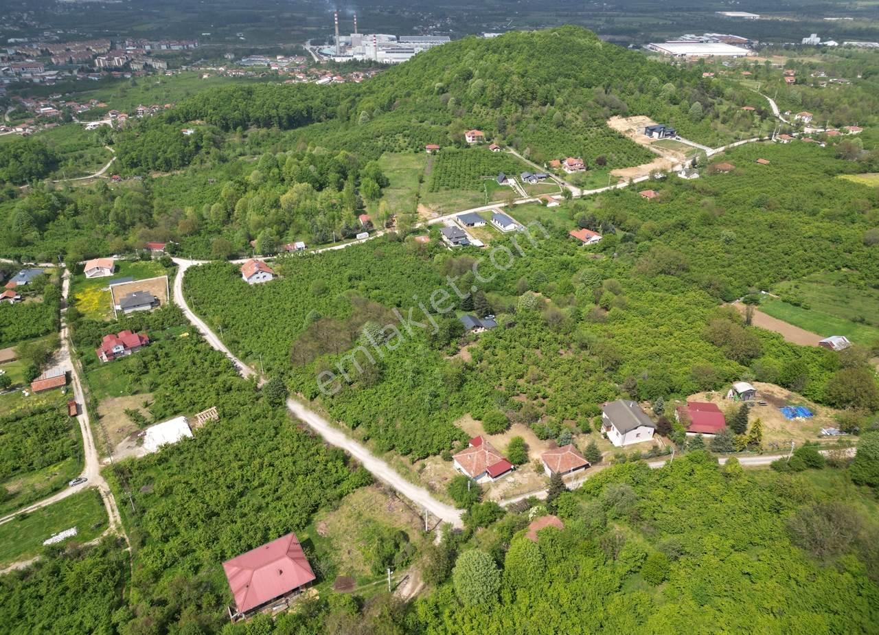 Düzce Merkez Güven Köyü'nde 1448 M² Satılık Arsa - Görsel 13