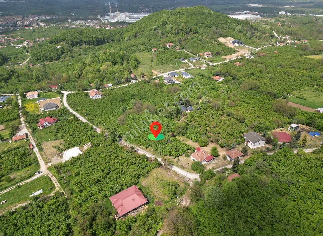Düzce Merkez Güven Köyü'nde 1448 M² Satılık Arsa - Görsel 25